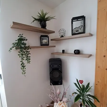 Apartman Nera *